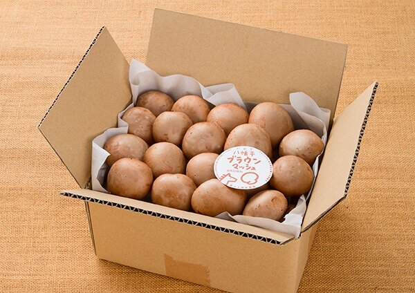 八幡平マッシュルーム ベビーベラ・ブラウン【1kg】