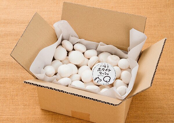 八幡平マッシュルーム ホワイト・無選別規格【1kg】