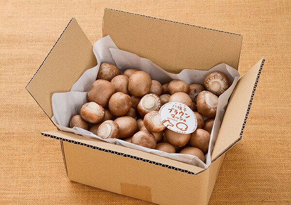 八幡平マッシュルームブラウン・無選別規格【1kg】